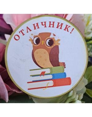 Значка за отличник 3 