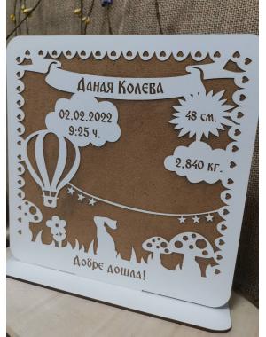 Бебешка визитка 2