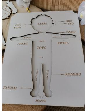 Пъзел " човешко тяло"